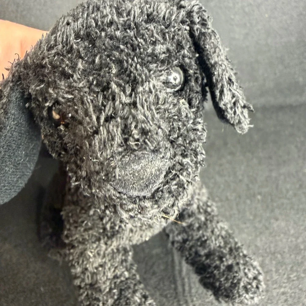 Douglas black lab